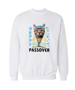 Happy Passover cat